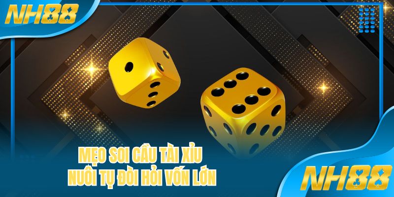 Mẹo soi cầu tài xỉu nuôi tụ đòi hỏi vốn lớn